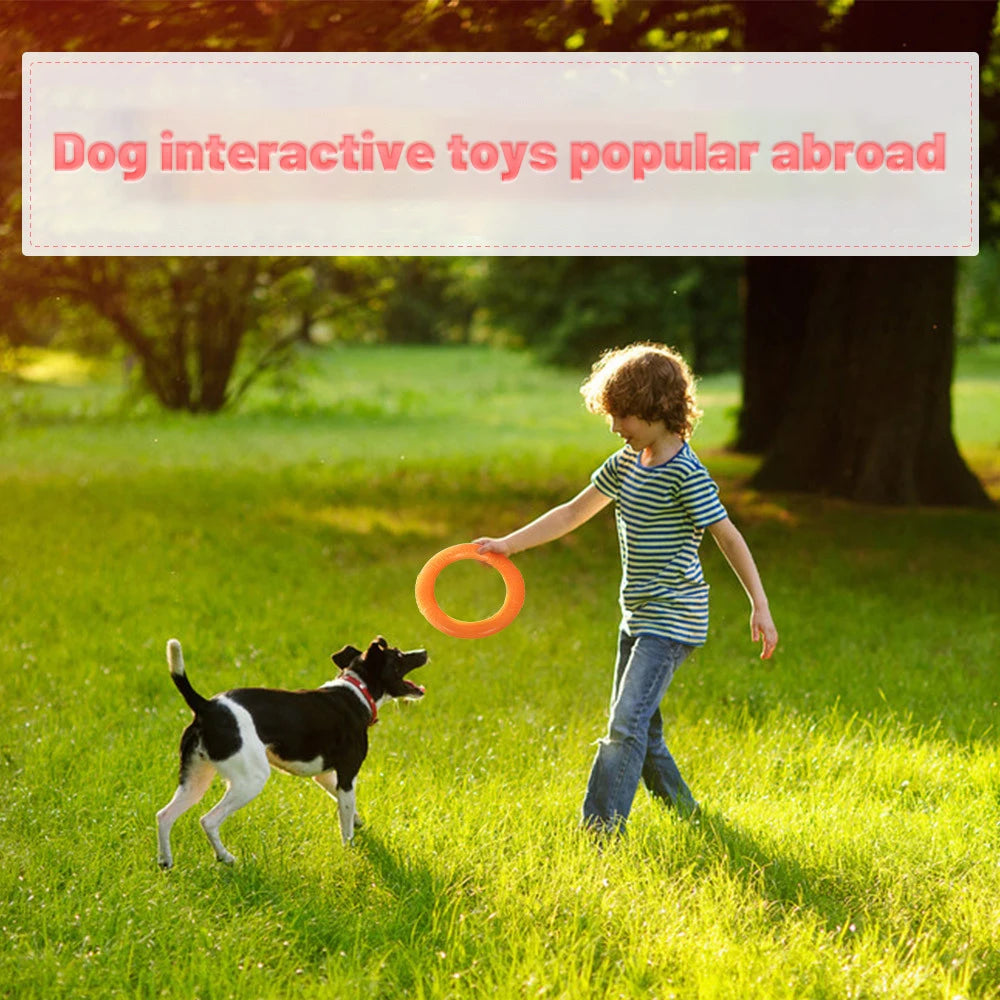 Dog Training Flying Ring Toy