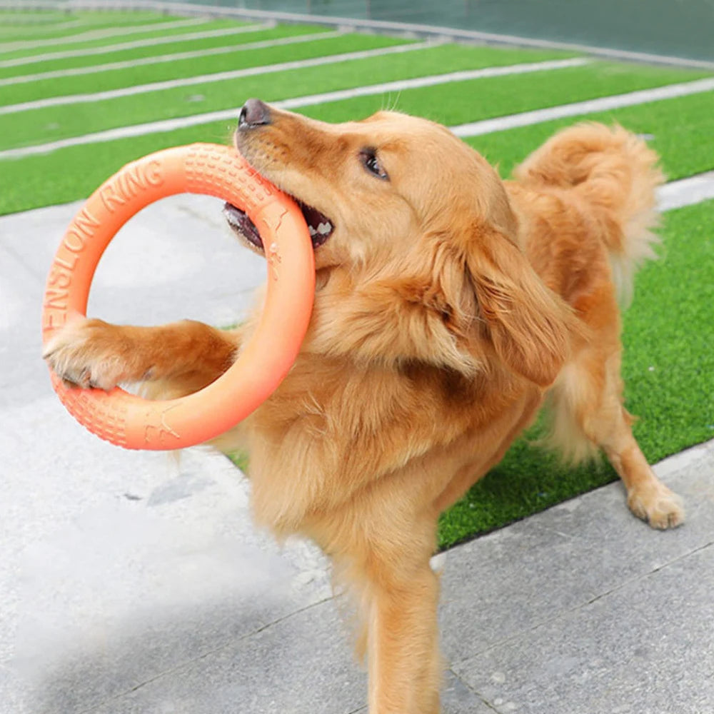 Dog Training Flying Ring Toy