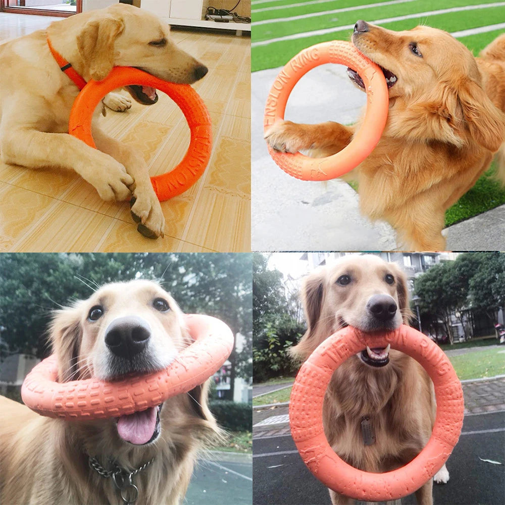 Dog Training Flying Ring Toy