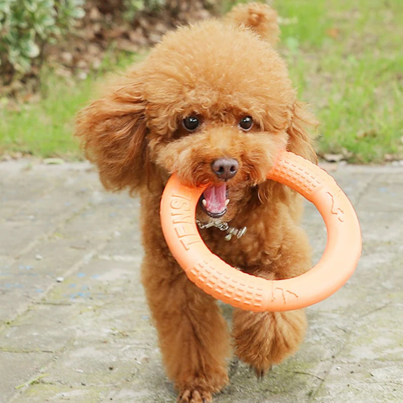 Dog Training Flying Ring Toy